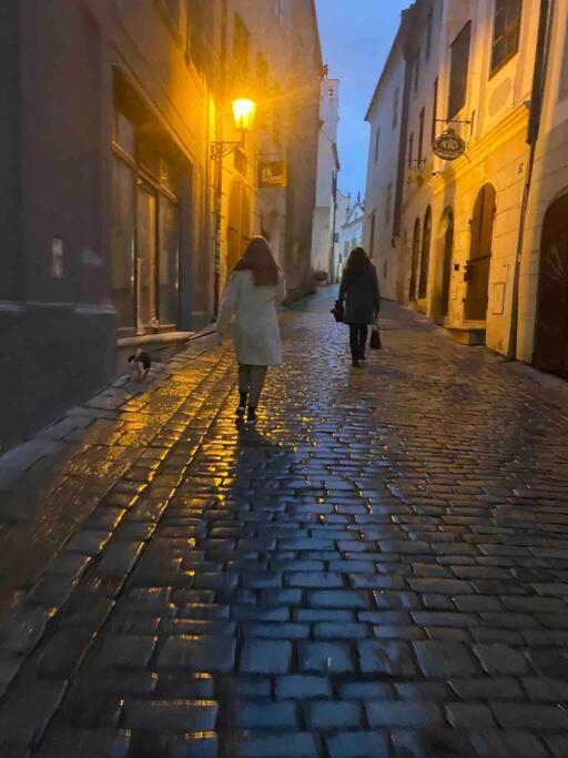 Unesco 14 Century Cesky Krumlov Ngoại thất bức ảnh